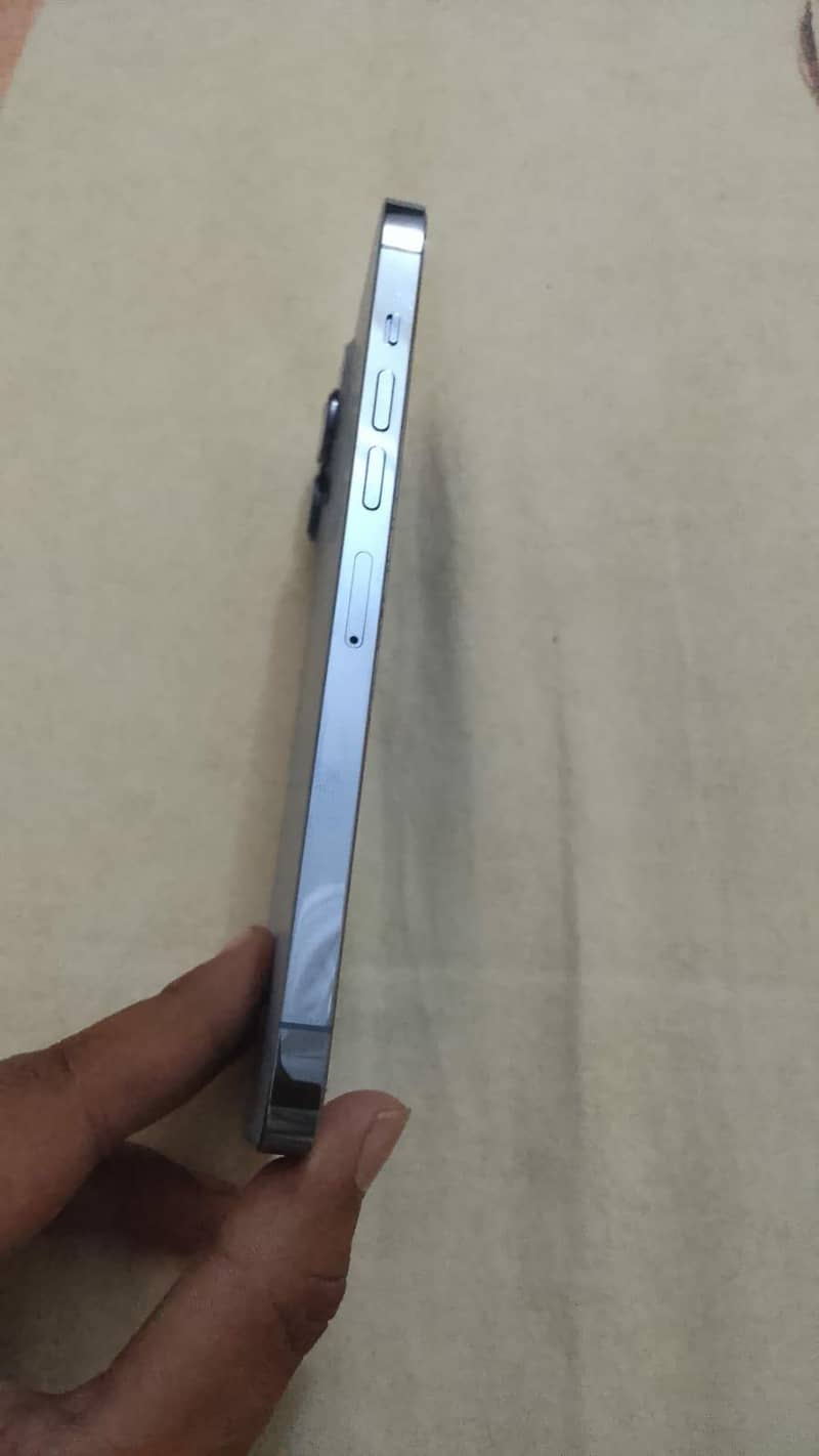 Apple iPhone 13 Pro Max 1