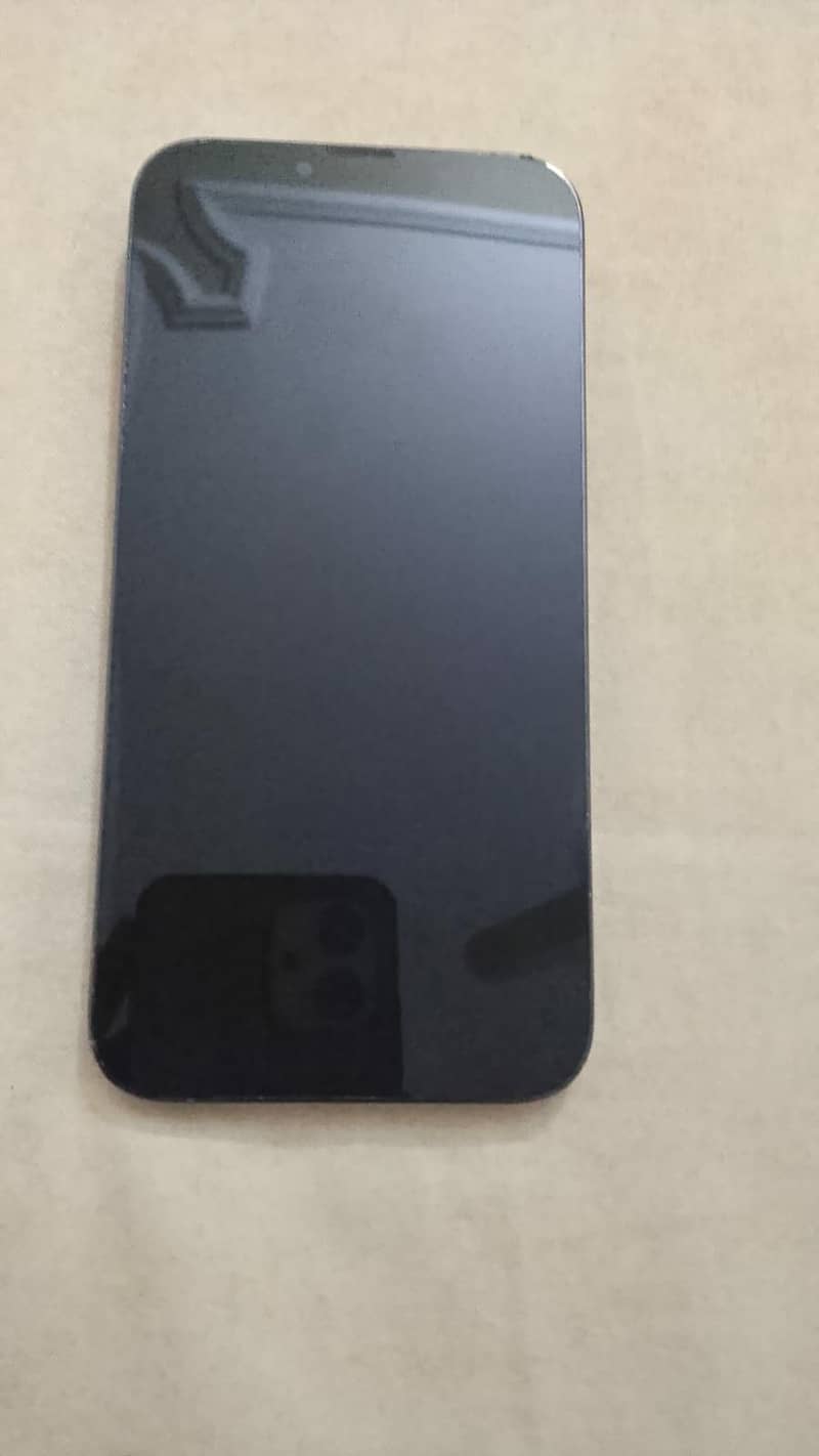 Apple iPhone 13 Pro Max 3