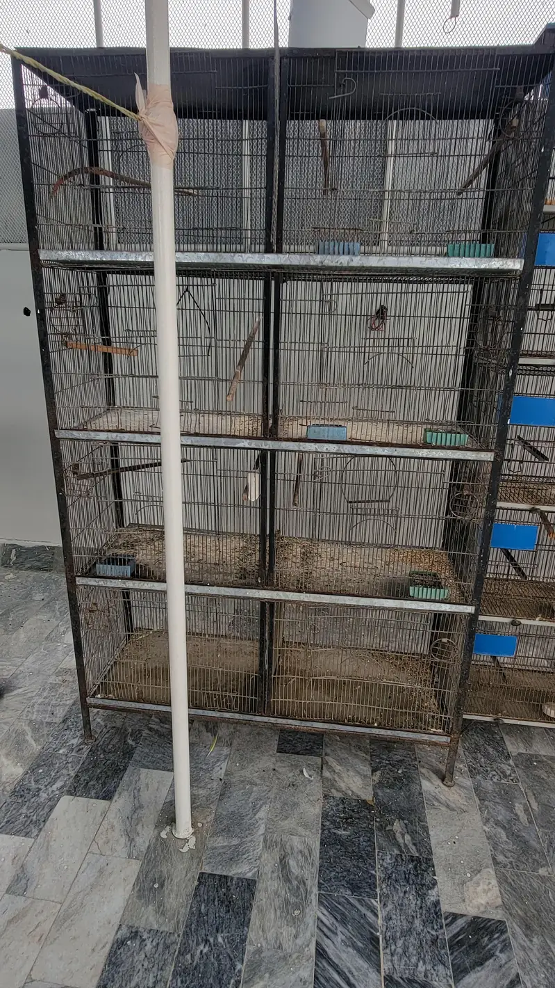 Birds Cages — photo 2