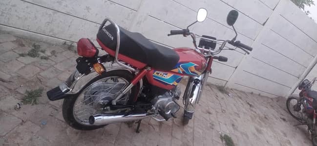 bike for rent