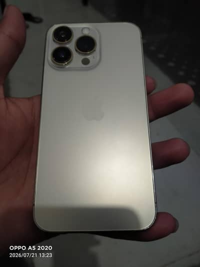 Apple iPhone 13pro