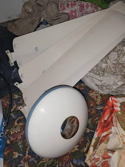 original Yunas Fan for sale