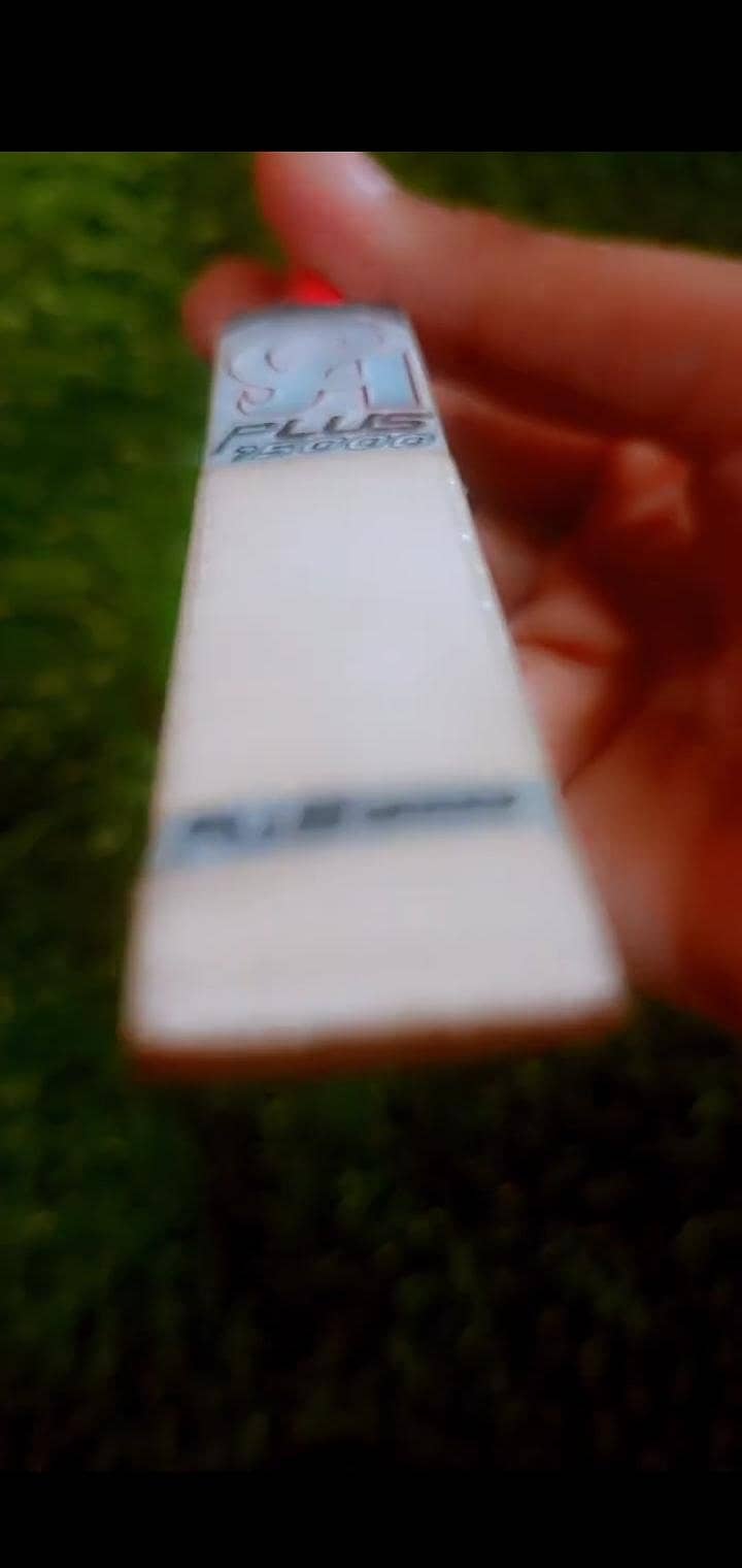 Mini bat 1