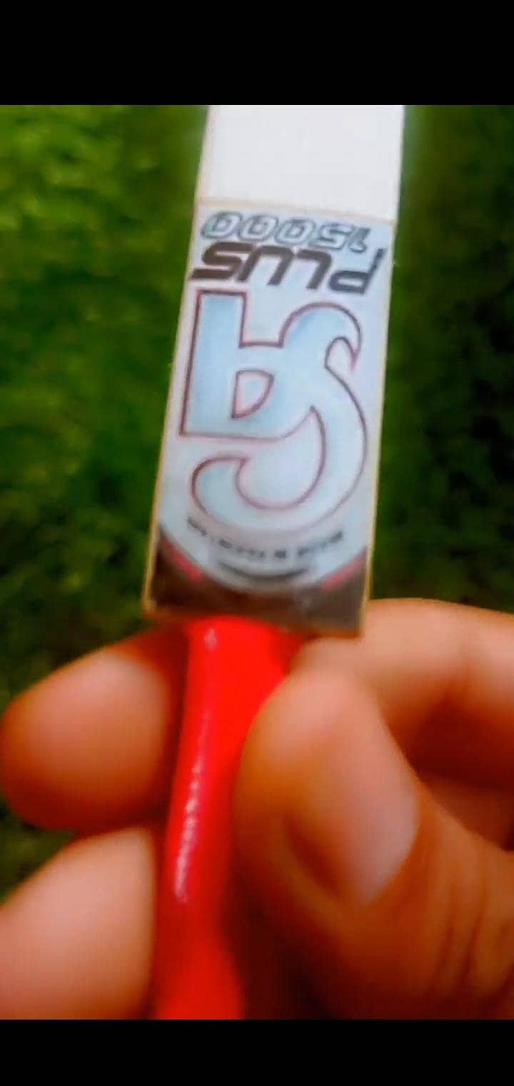 Mini bat 2