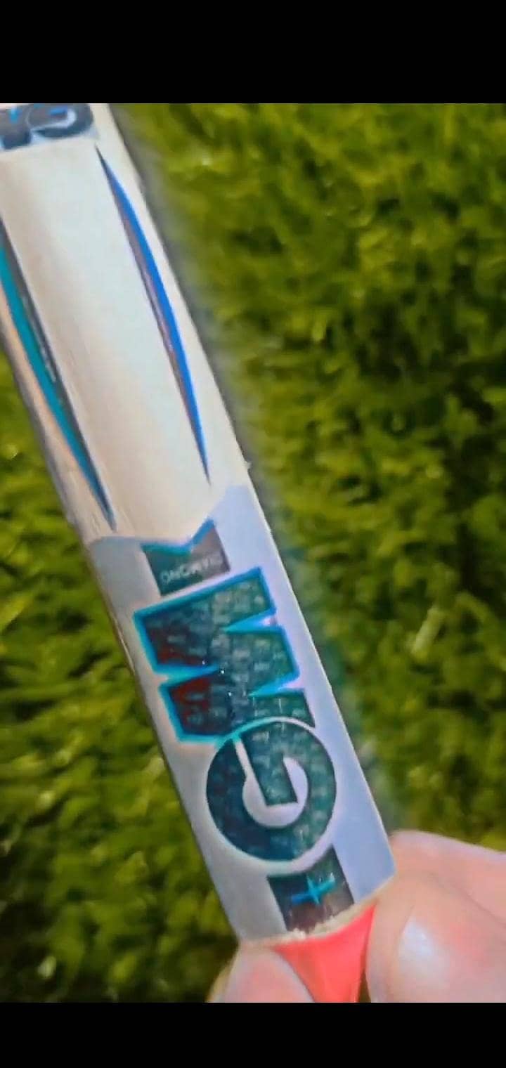 Mini bat 3