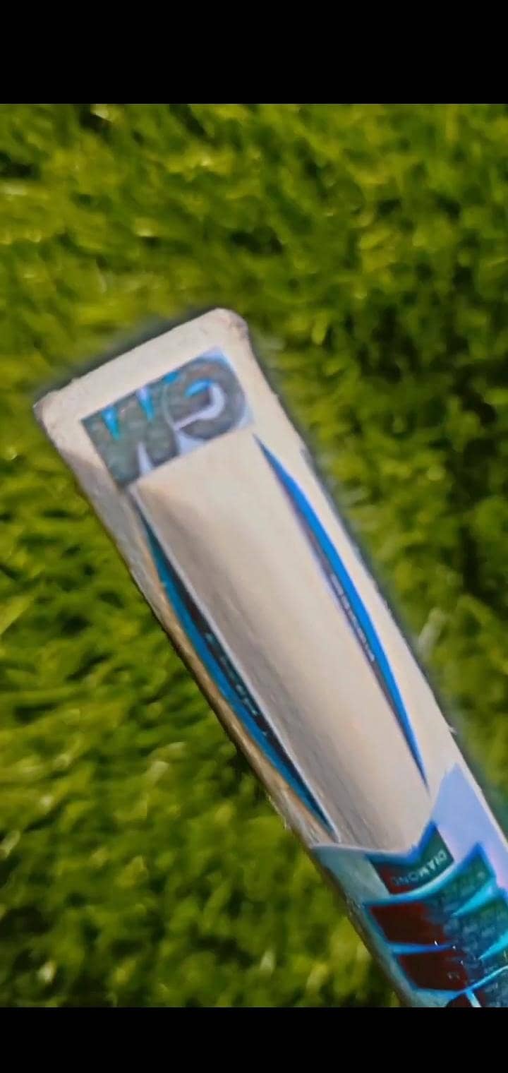 Mini bat 4