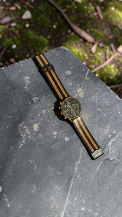 Baogela Fashion Watch