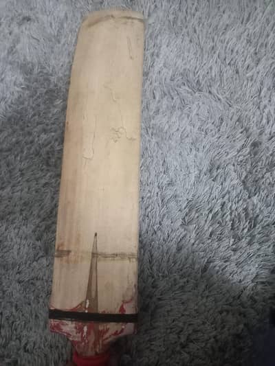 Srilankan bat for tape ball cricket recomend for everyone