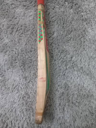 Almost new hardball kashmir willow bat