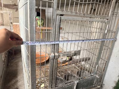 Heavy Cage
