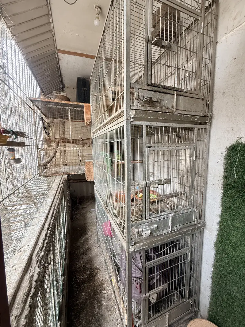 Heavy Cage — photo 3