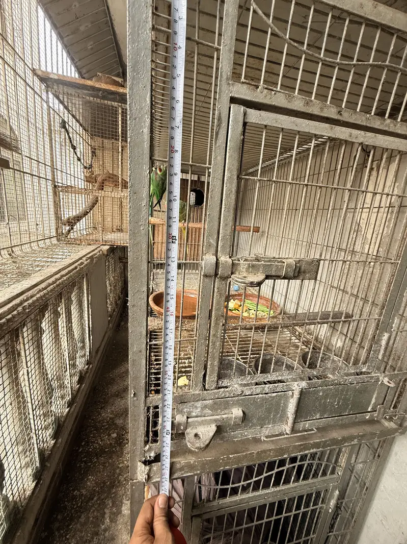 Heavy Cage — photo 4