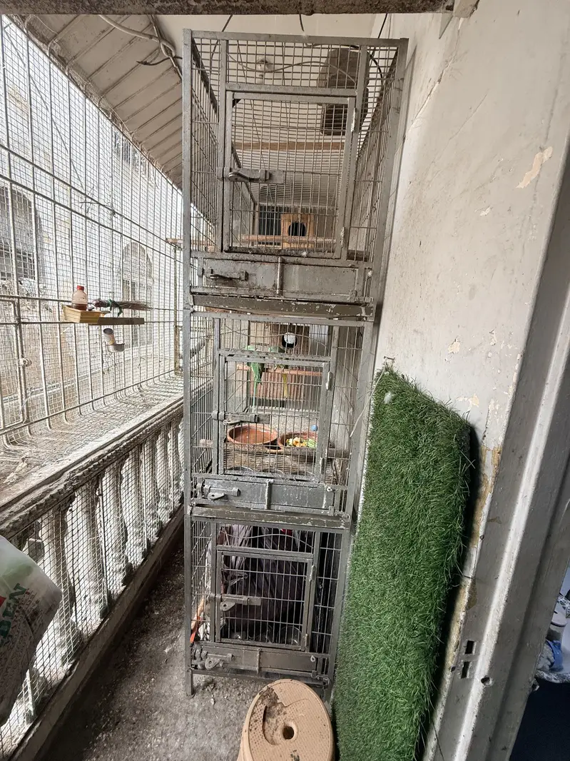 Heavy Cage — photo 5