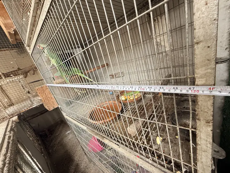 Heavy Cage — photo 6