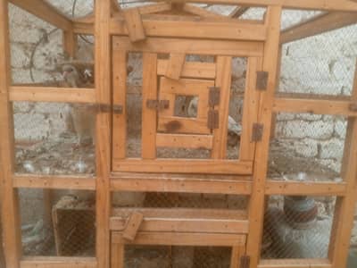 for sale cage sale