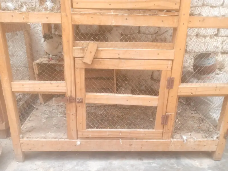 for sale cage sale — photo 2