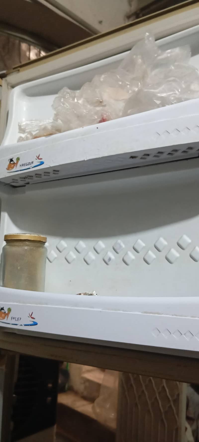fridge 1