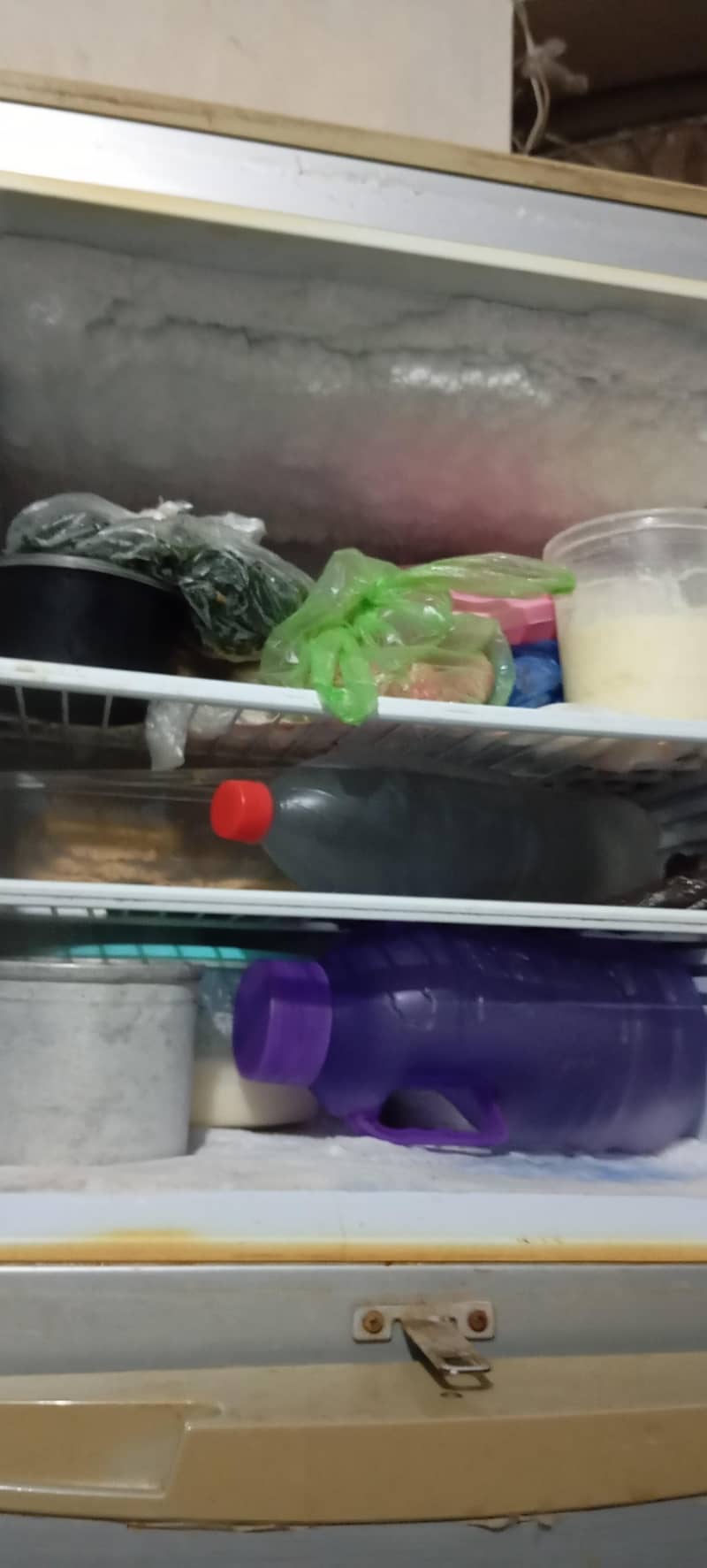fridge 2