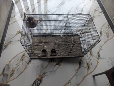 Bird Cage 3 portions
