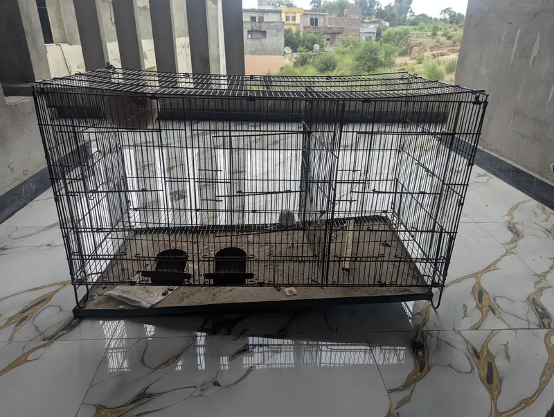 Bird Cage 3 portions — photo 2