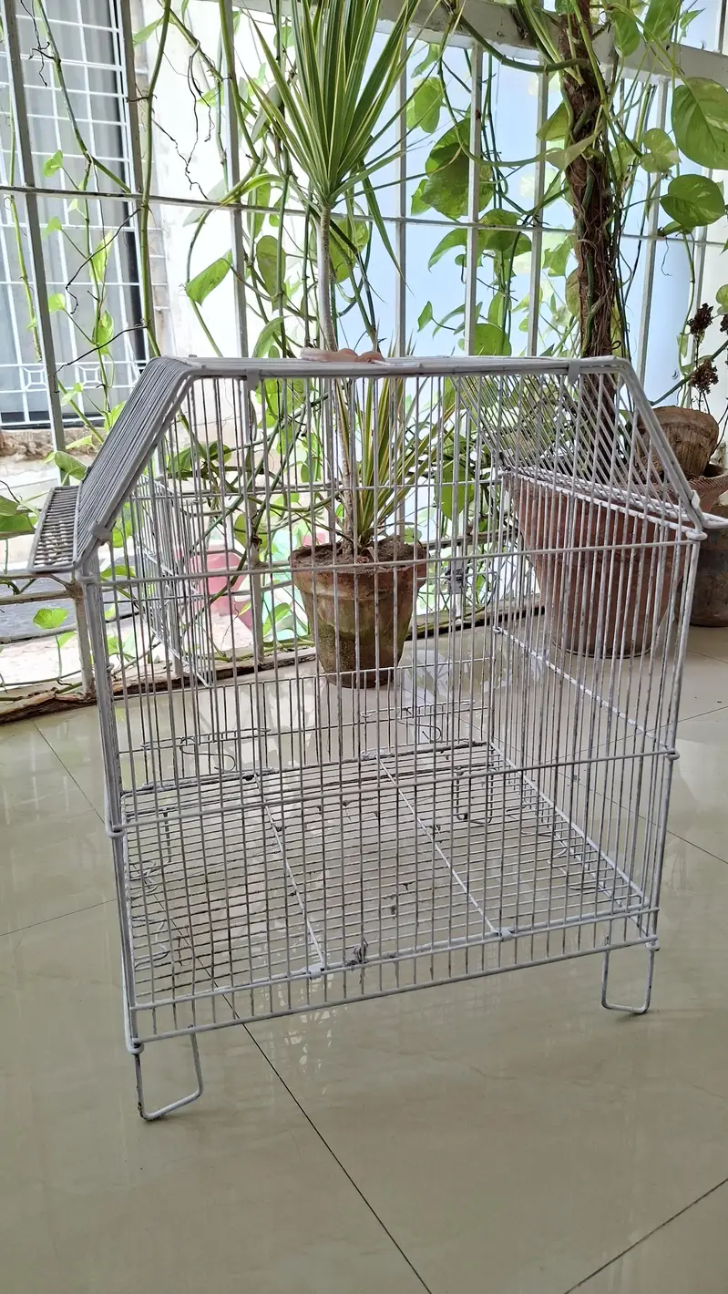 New like condition bird cage!! — photo 2