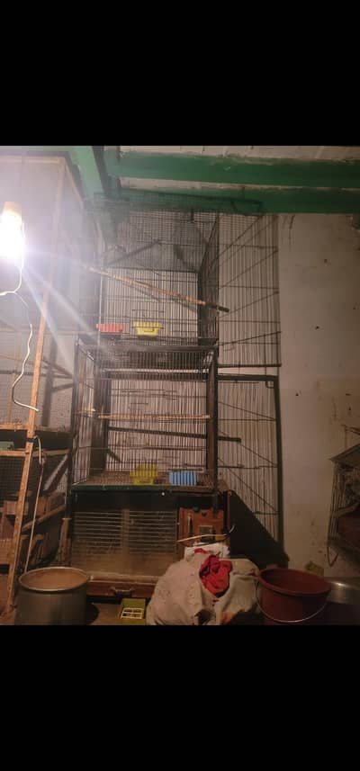 i have several cages for sale both in iron and in wood little bit used