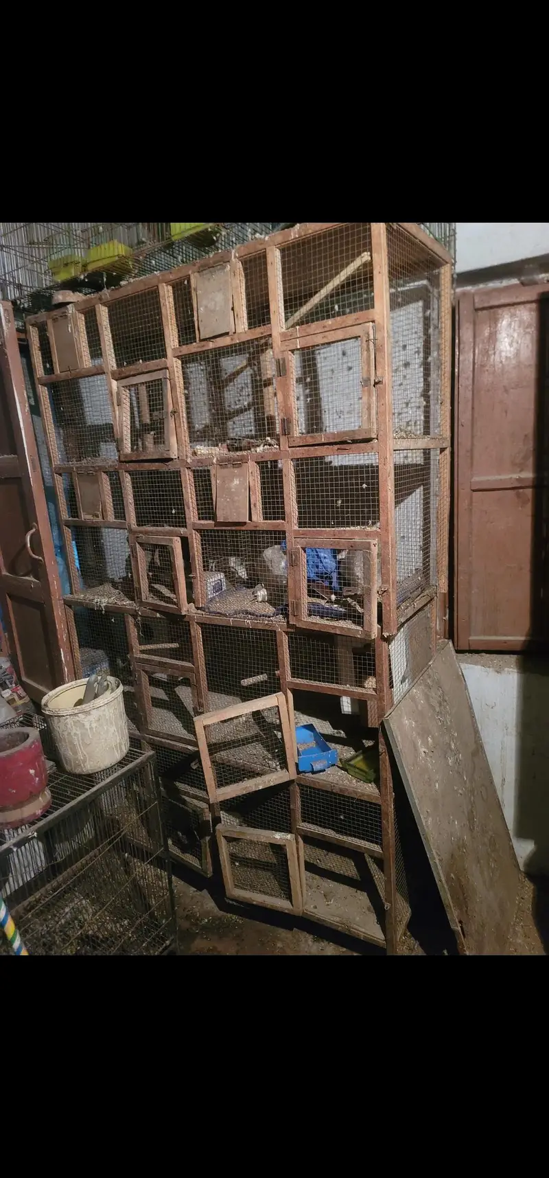 i have several cages for sale both in iron and in wood little bit used — photo 2