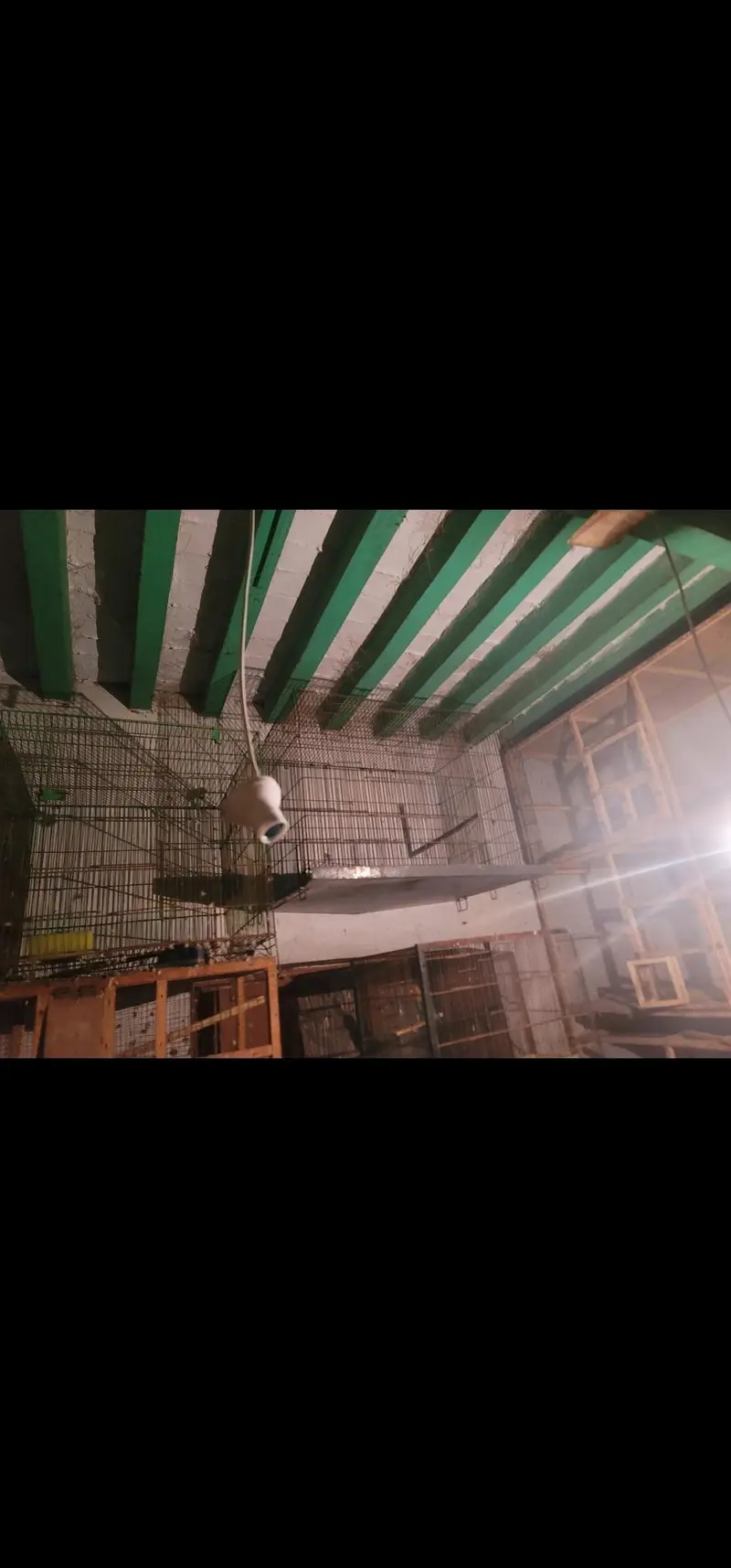 i have several cages for sale both in iron and in wood little bit used — photo 3
