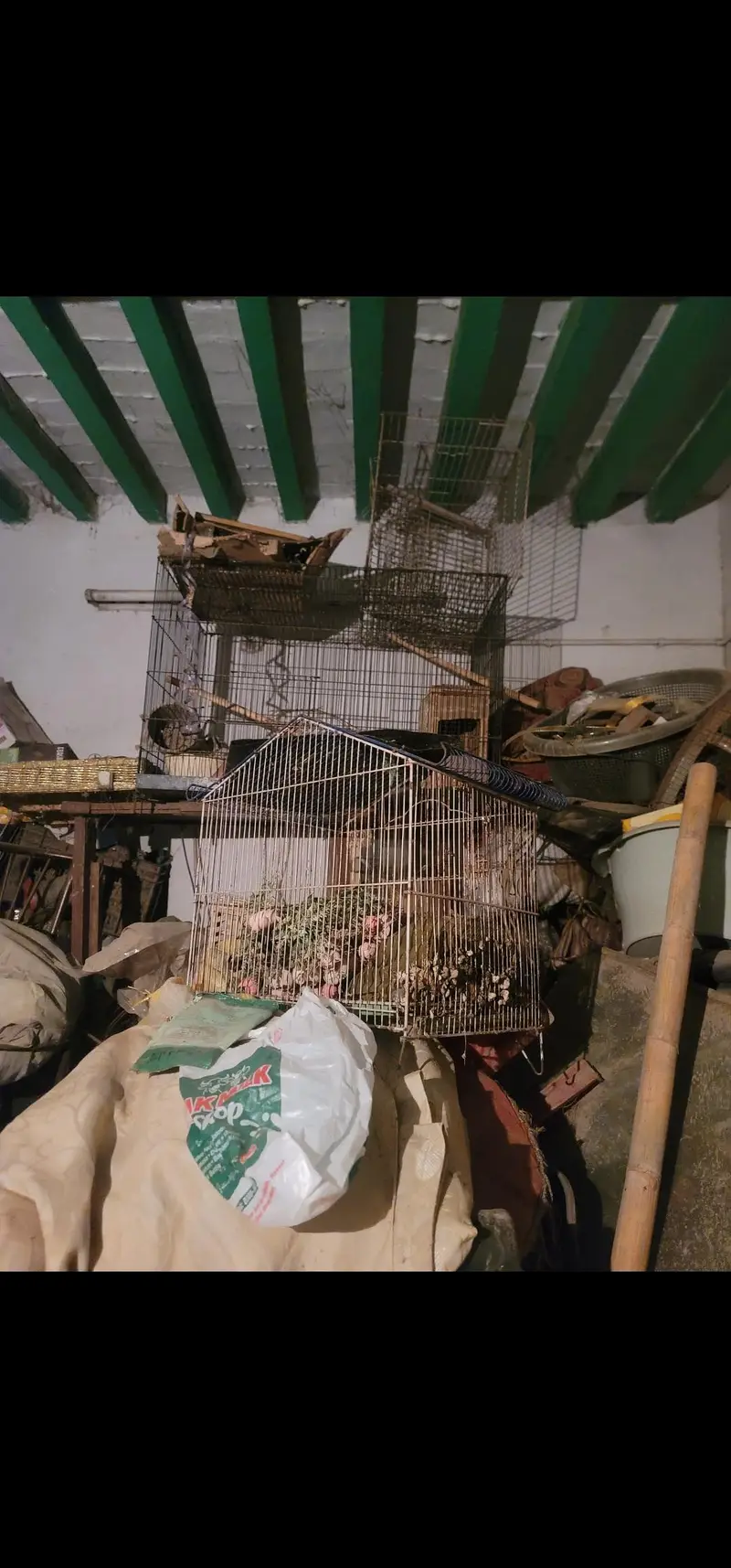 i have several cages for sale both in iron and in wood little bit used — photo 4