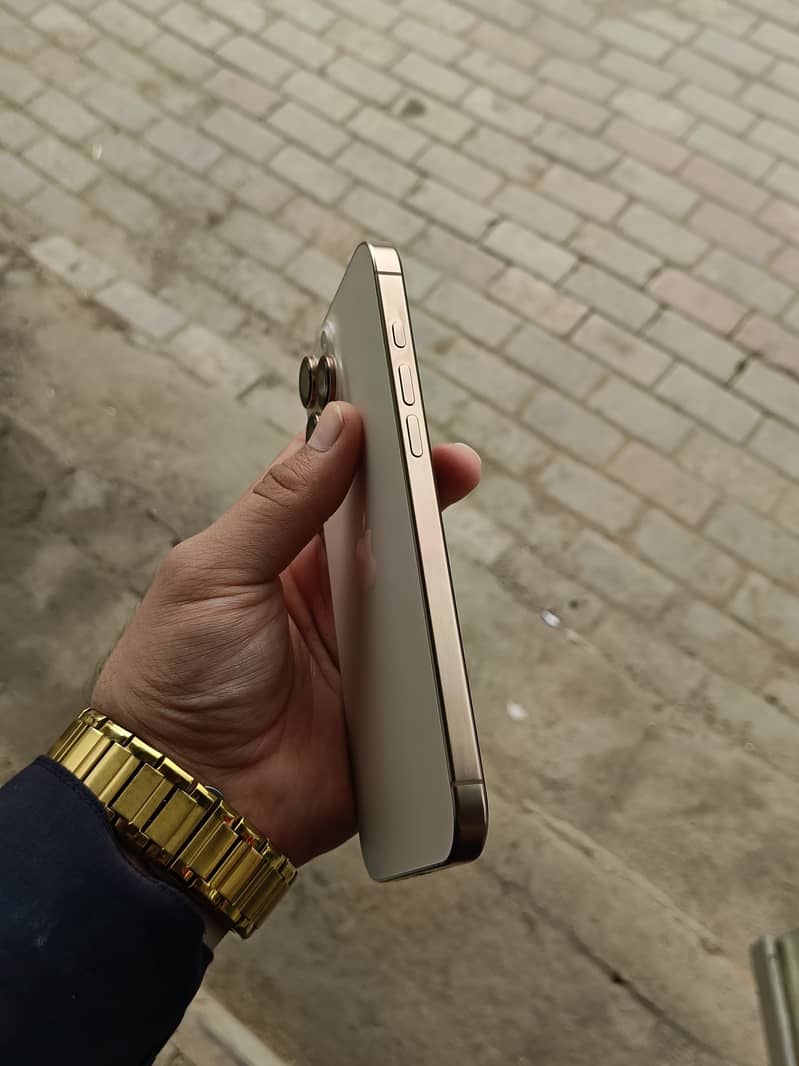 Apple iPhone 16 Pro Max 3