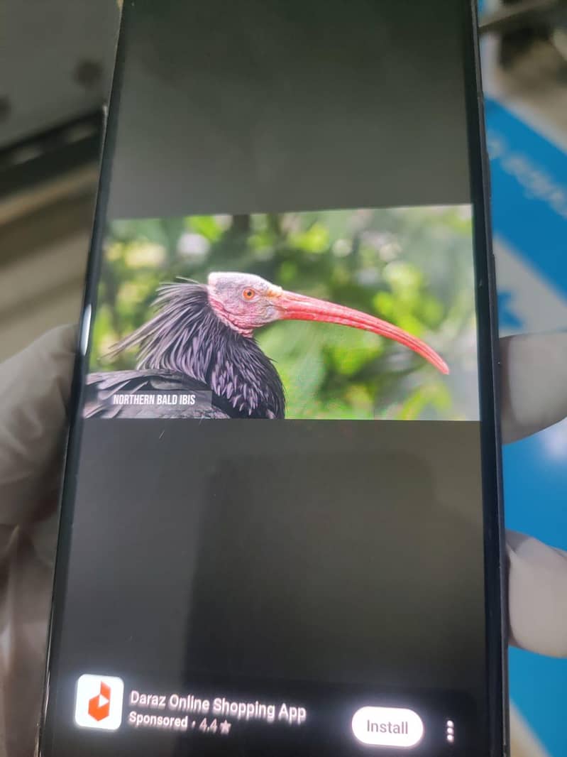 Google Pixel 7 8
