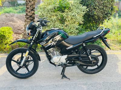 YAMAHA YBR G