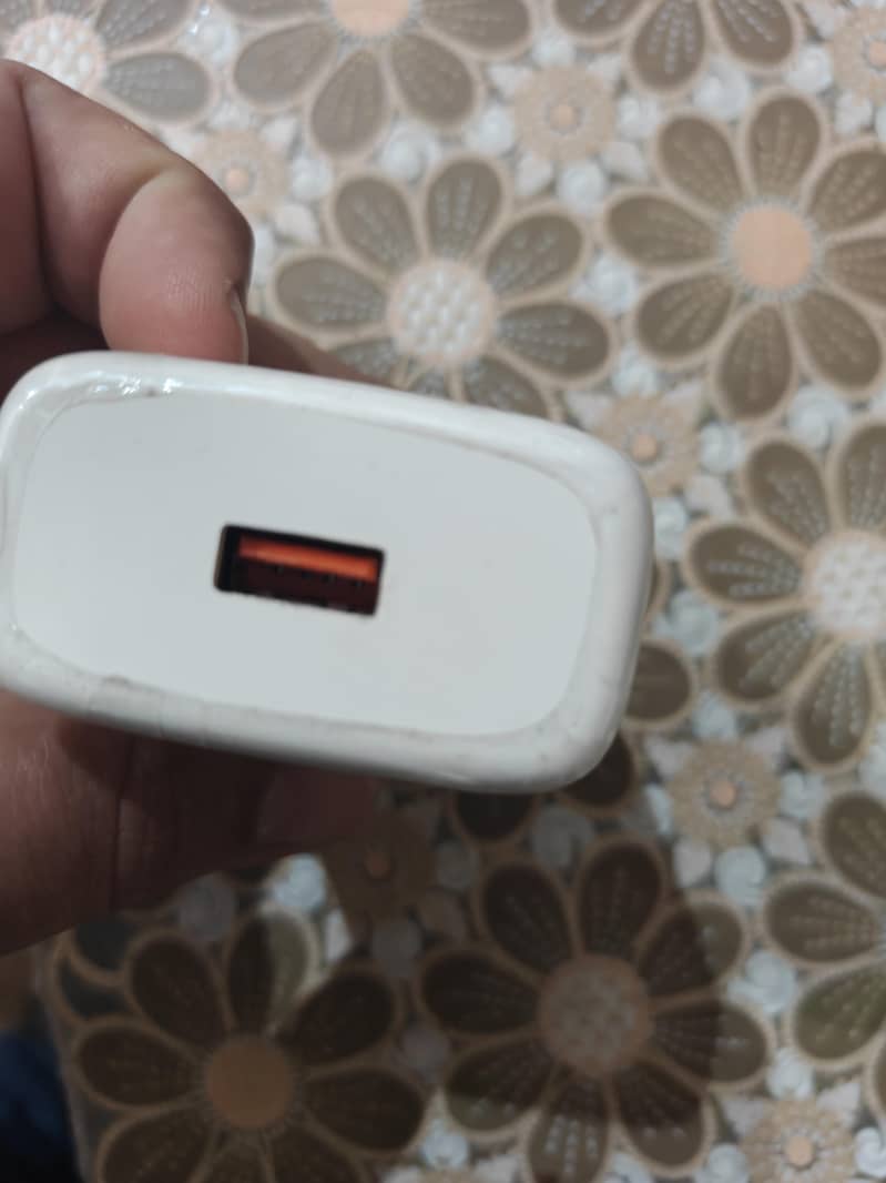 Charger+ Cable 2