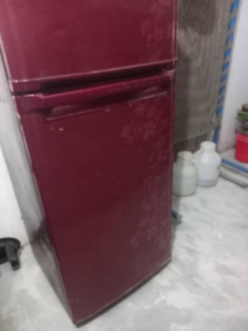 fridge 4