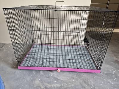 Bird Cage for Sale