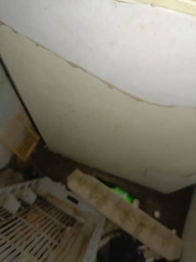 double door deep freezer ple good condition