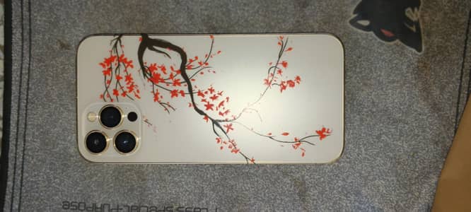 Apple iPhone 12 Pro Max