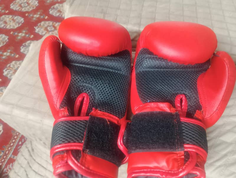 boxing gloves 1