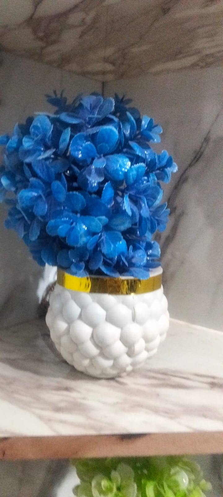 PLANT 2