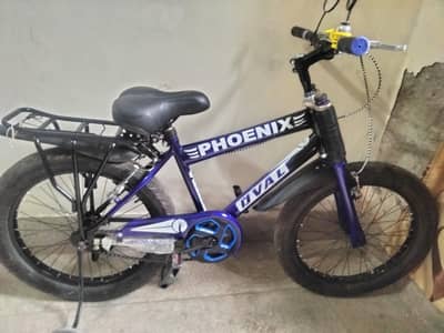 phoenix cycle