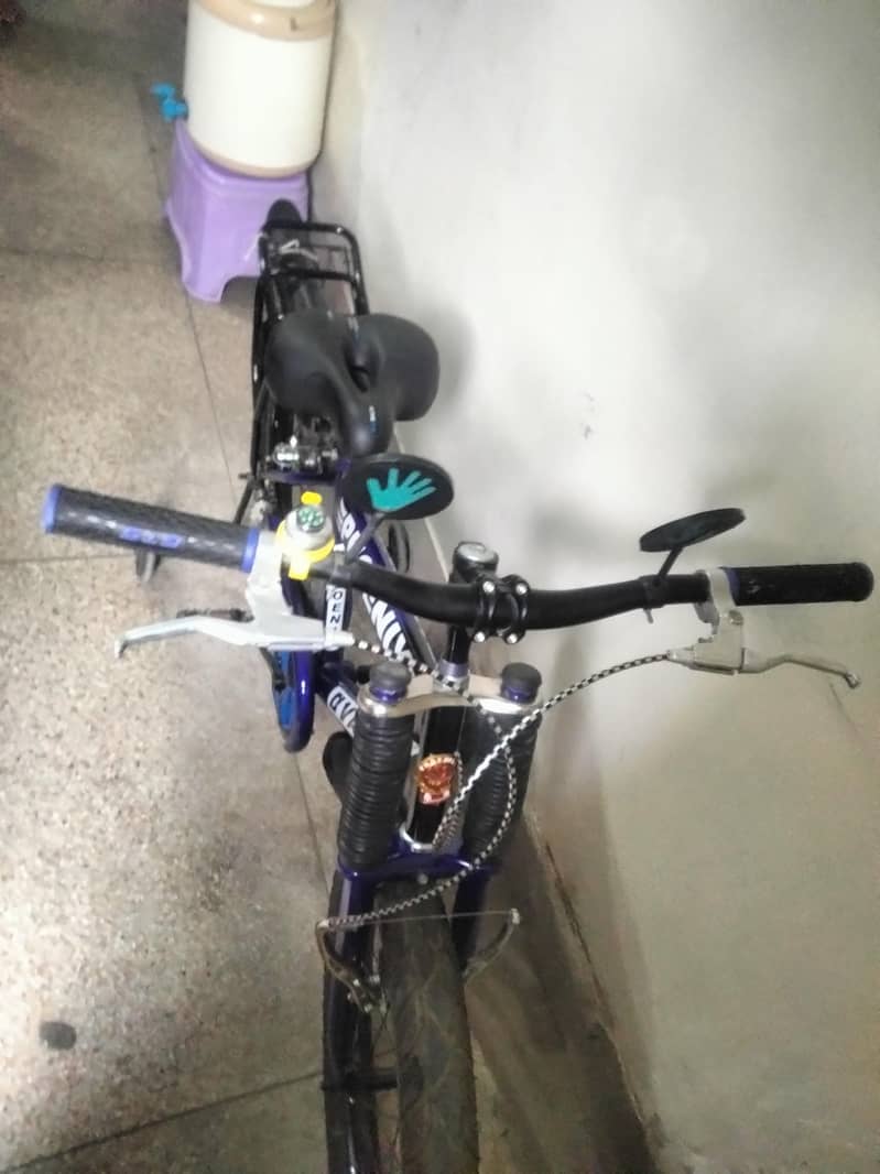 phoenix cycle 1