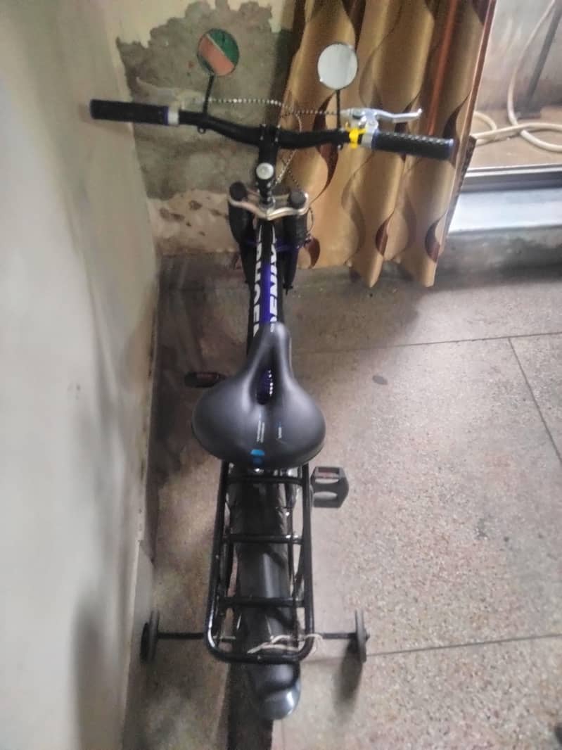 phoenix cycle 2