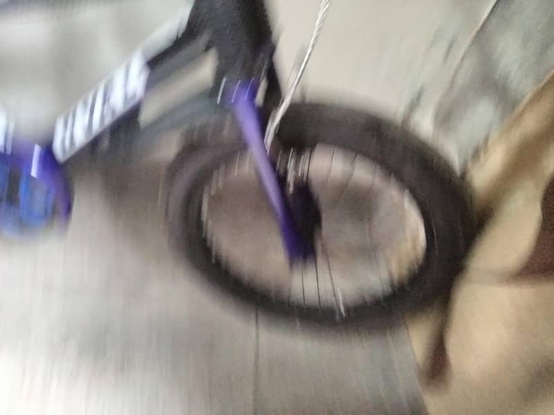 phoenix cycle 4