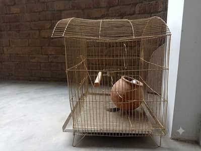 cage for birds