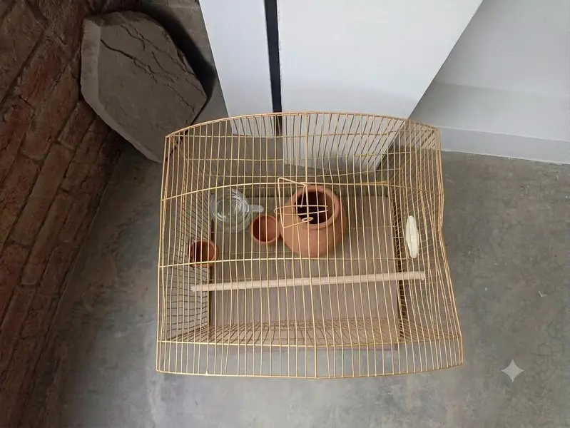 cage for birds — photo 2