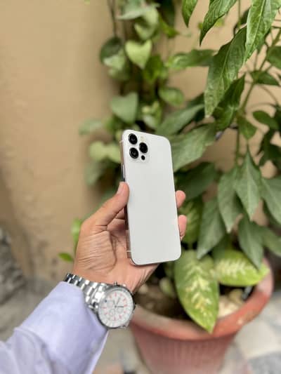 Apple iPhone 12 Pro Max WATERPACK