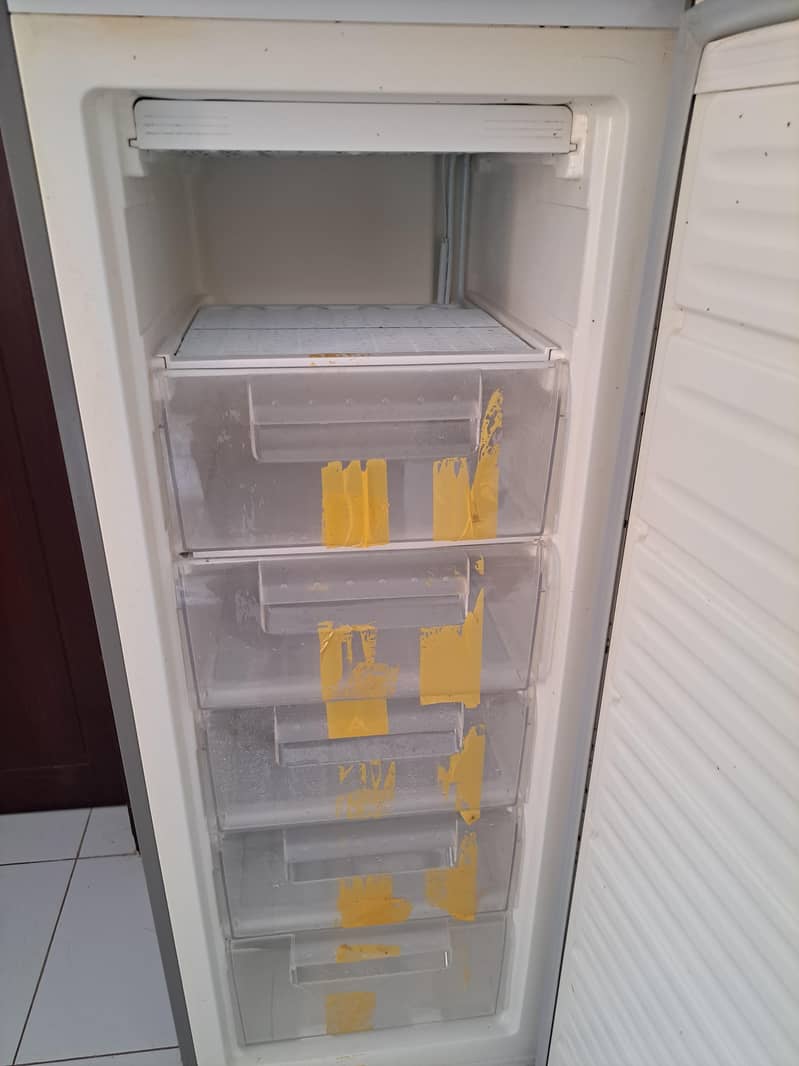 freezer 1