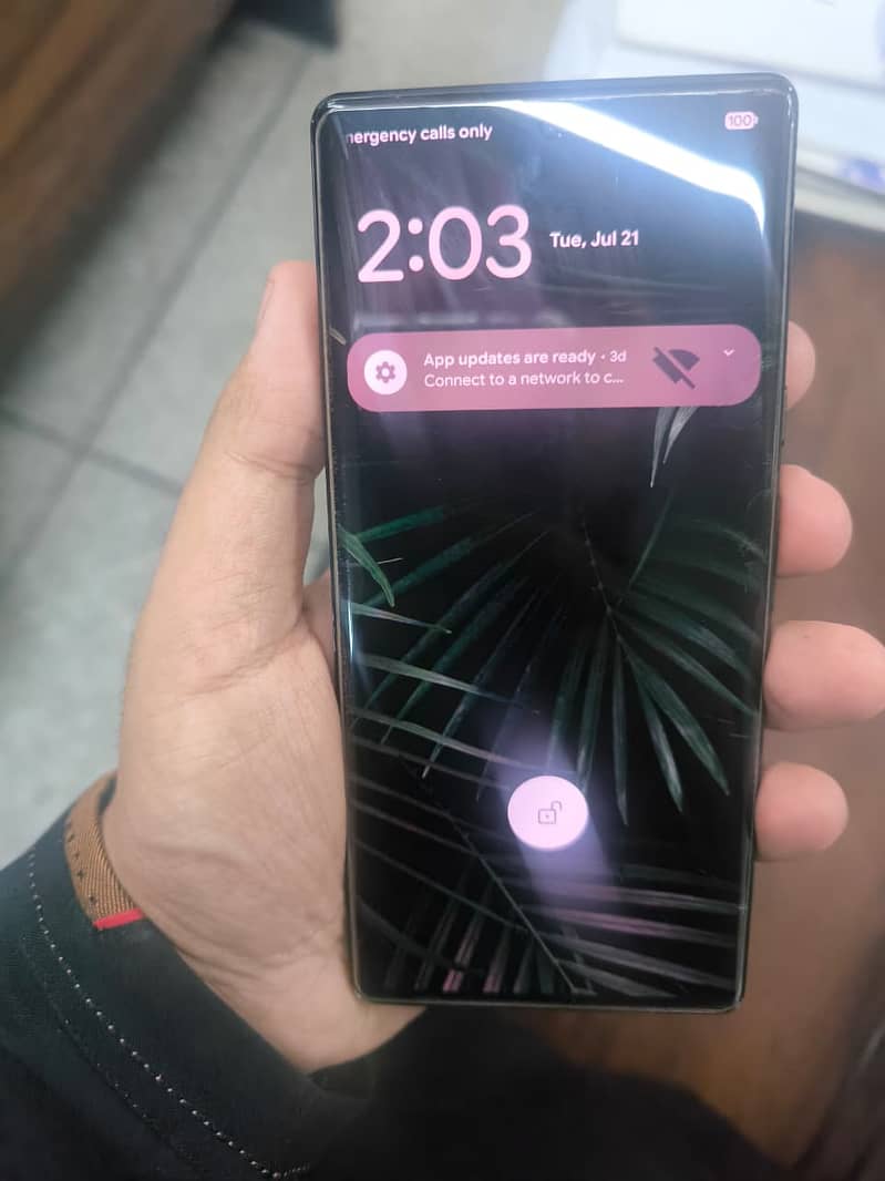 Google Pixel 6 Pro 0