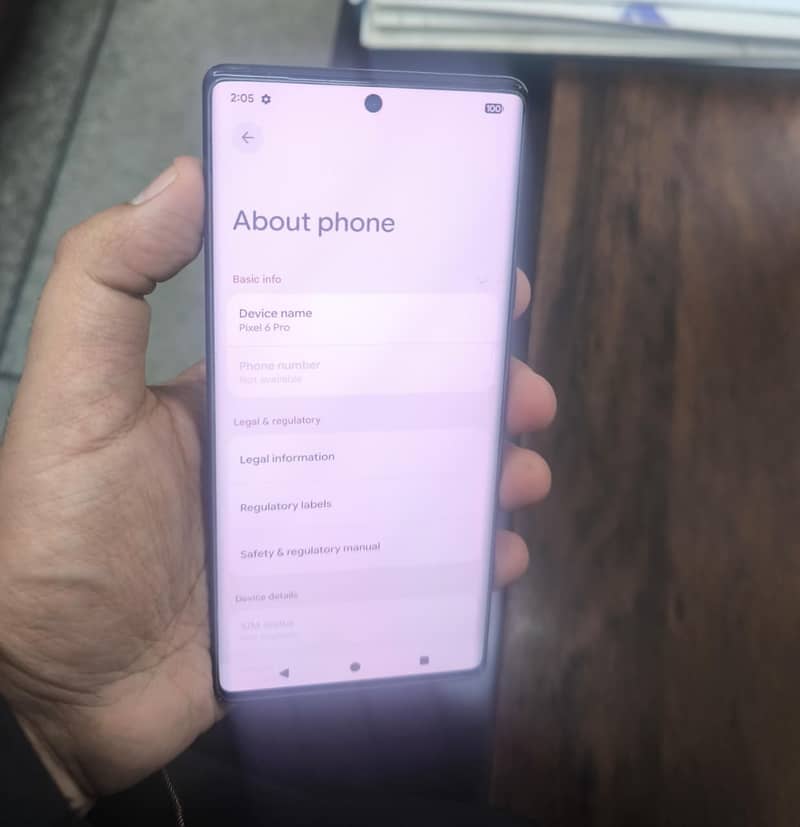 Google Pixel 6 Pro 2