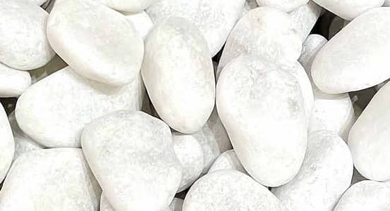 Medium size White Pebbles